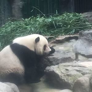 Meet your Posher, Shenli